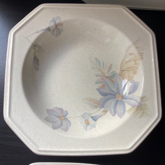 MIKASA Belle Meade Casual Moods Rim Soup Bowl (2 pcs) & Dinner Plate (1pcs) - Picture 4 of 9